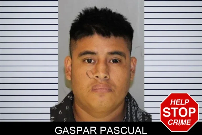 Gaspar Pascual
