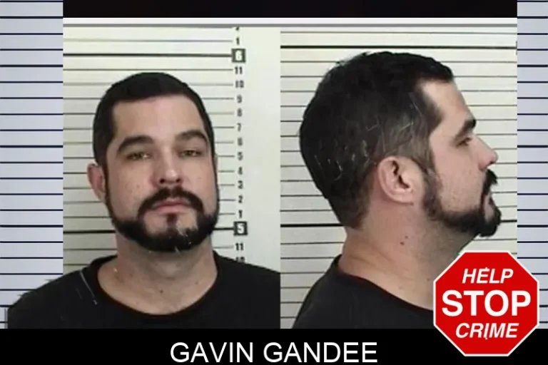 Gavin Gandee