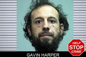 Gavin Harper mugshot
