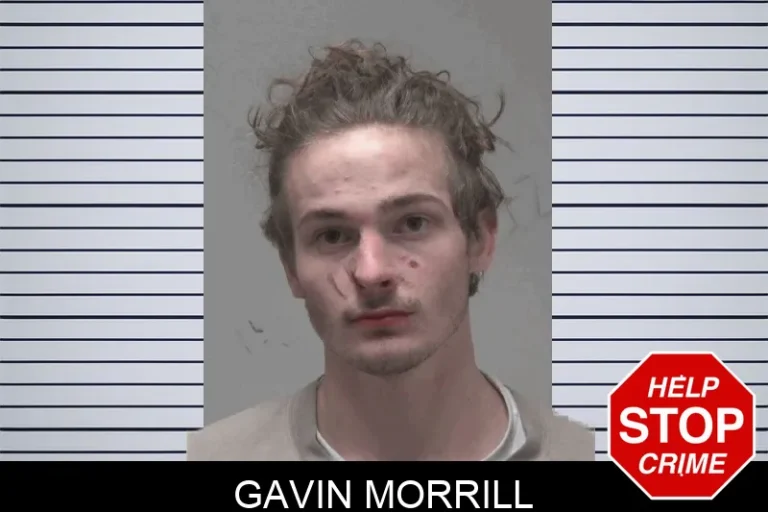 Gavin Morrill
