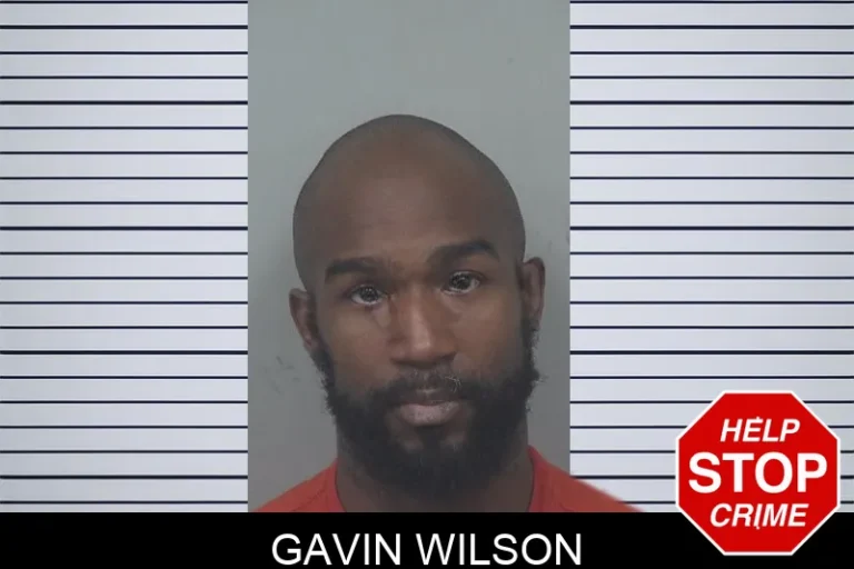 Gavin Wilson