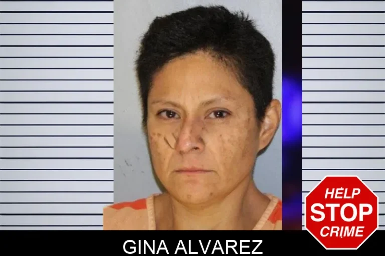 Gina Alvarez mugshot – Hall County , Georgia Gina Alvarez