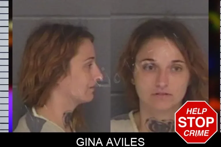 Gina Aviles mugshot – Barrow County , Georgia Gina Aviles
