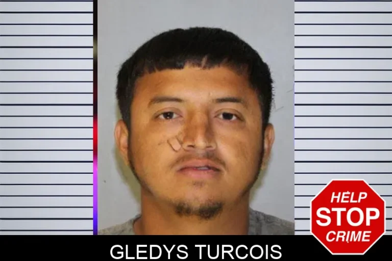 Gledys Turcois mugshot – Hall County , Georgia Gledys Turcois