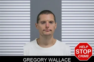 Gregory Wallace mugshot