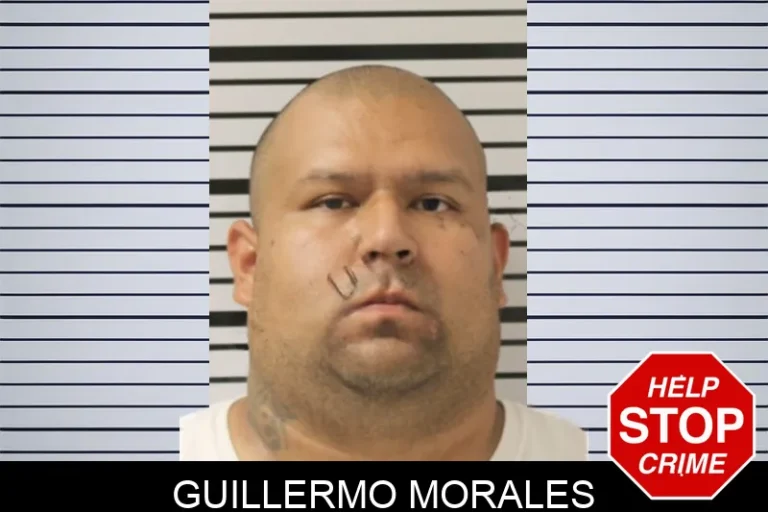 Guillermo Morales