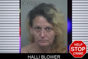 Halli Blower mugshot