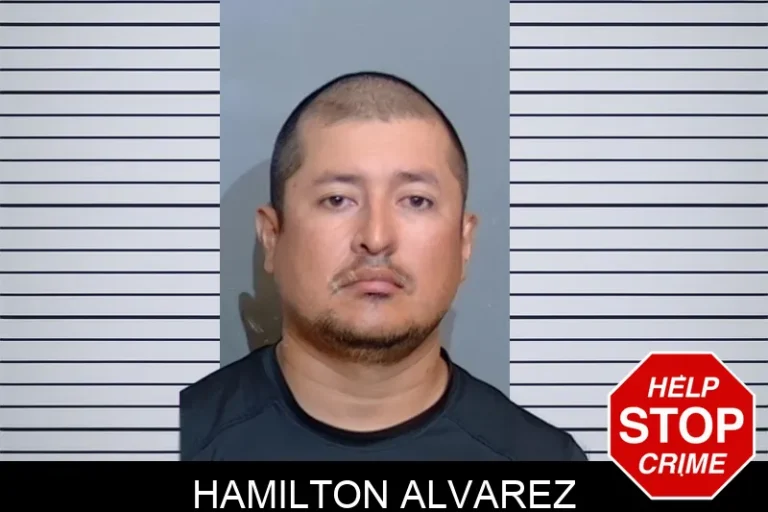 Hamilton Alvarez