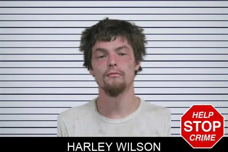 Harley Wilson