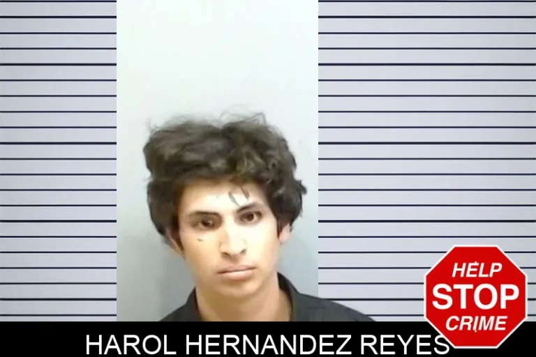 Harol Hernandez Reyes