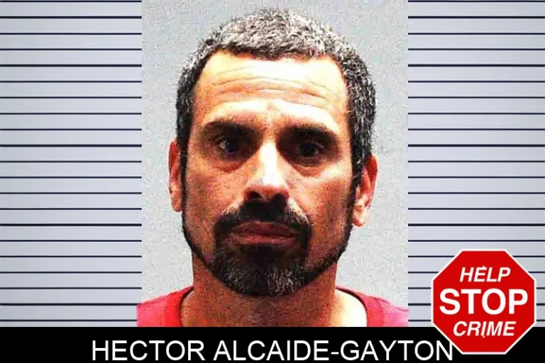 Hector Alcaide-Gayton