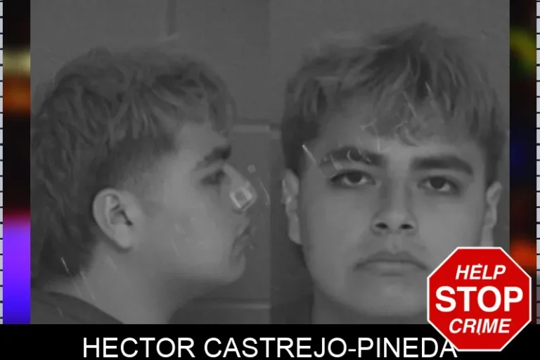 Hector Castrejo-Pineda