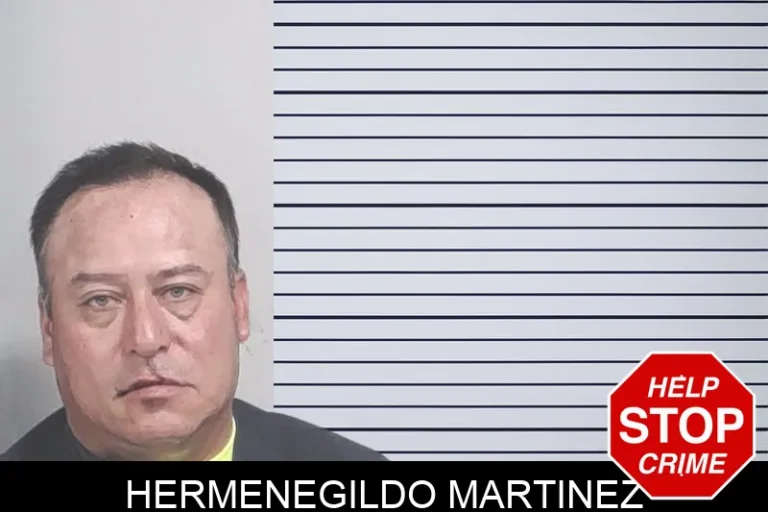 Hermenegildo Martinez