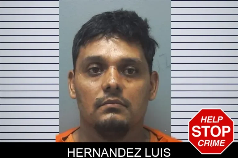 Hernandez Luis mugshot – Cherokee County , Georgia Hernandez Luis
