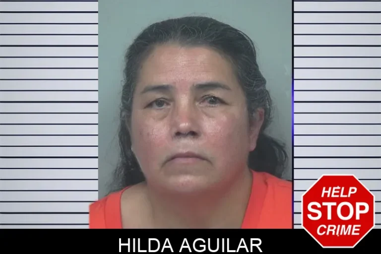 Hilda Aguilar mugshot – Gwinnett County , Georgia Hilda Aguilar