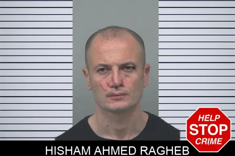 Hisham Ahmed Ragheb