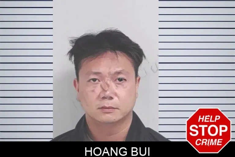 Hoang Bui