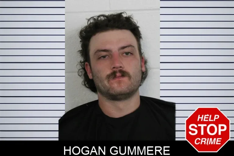 Hogan Gummere