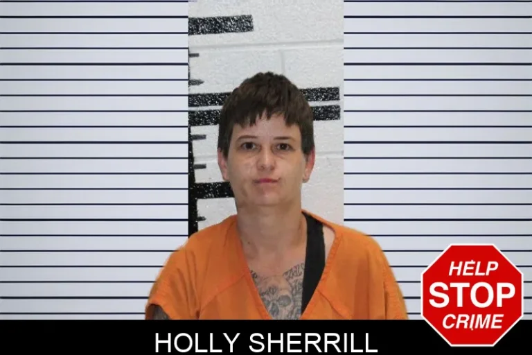 Holly Sherrill mugshot – Murray County , Georgia Holly Sherrill