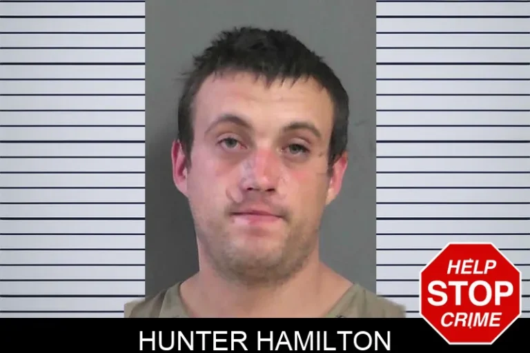 Hunter Hamilton