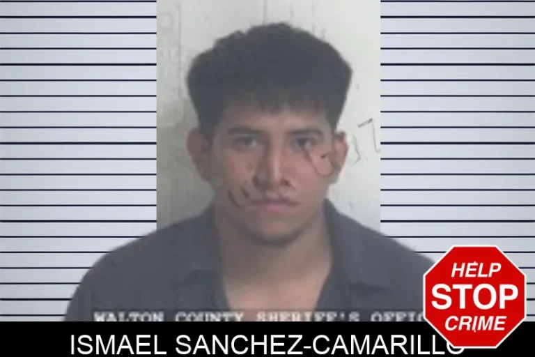 Ismael Sanchez-Camarillo