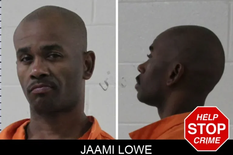 Jaami Lowe mugshot – Houston County , Georgia Jaami Lowe