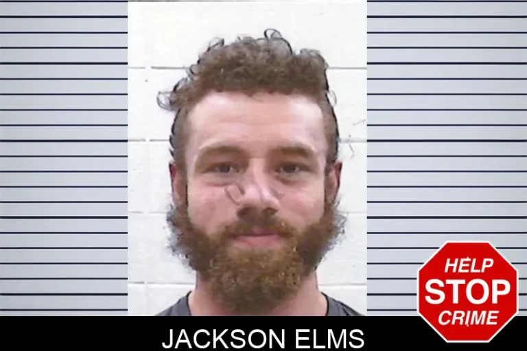 Jackson Elms