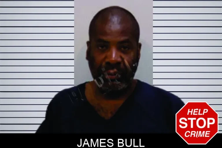 James Bull