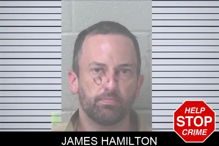 James Hamilton