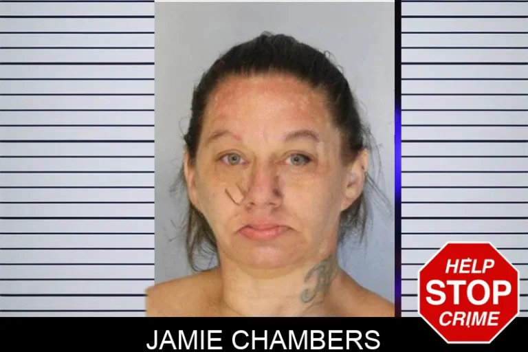 Jamie Chambers mugshot – Hall County , Georgia Jamie Chambers