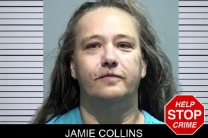 Jamie Collins mugshot