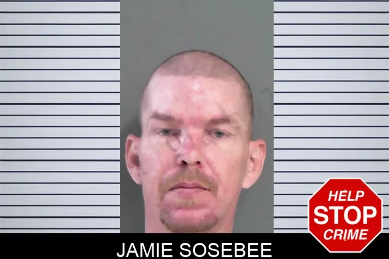 Jamie Sosebee