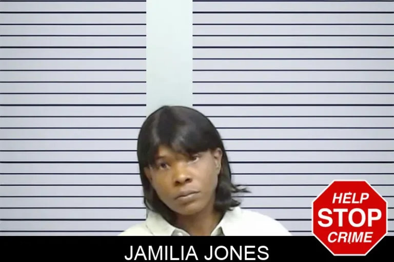 Jamilia Jones mugshot – Fulton County , Georgia Jamilia Jones