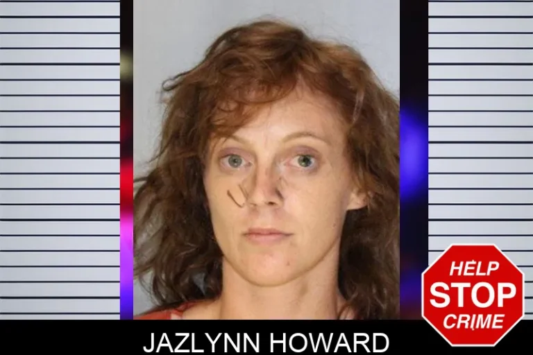 Jazlynn Howard mugshot β Hall County , Georgia Jazlynn Howard