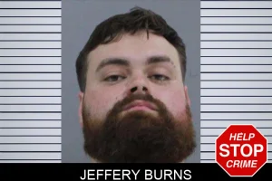 Jeffery Burns mugshot