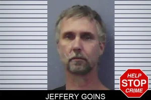 Jeffery Goins mugshot