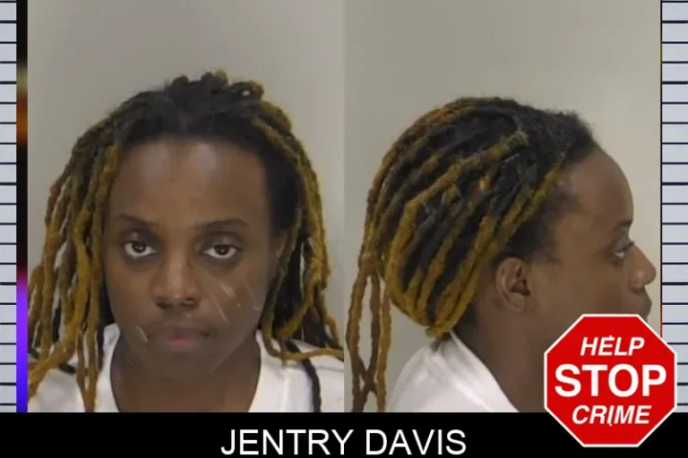 Jentry Davis