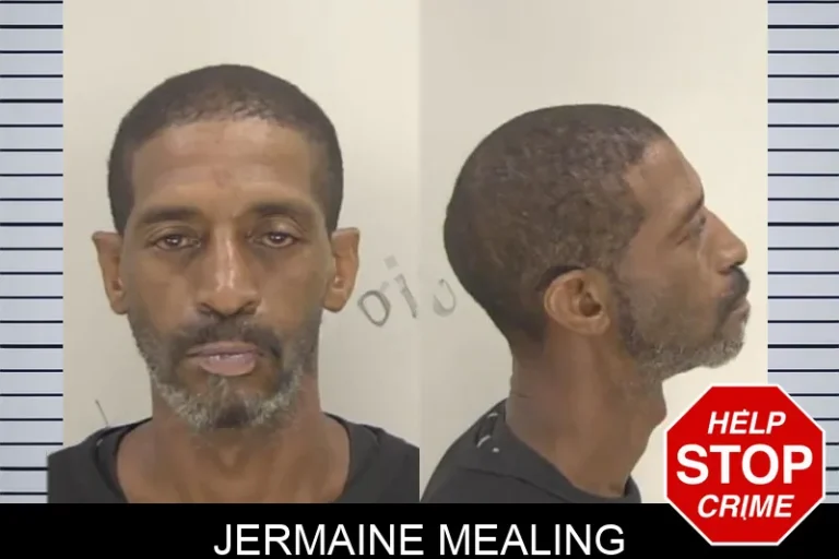 Jermaine Mealing