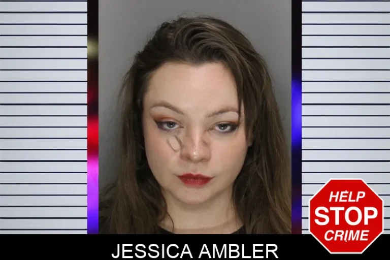 Jessica Ambler mugshot – Cobb County , Georgia Jessica Ambler