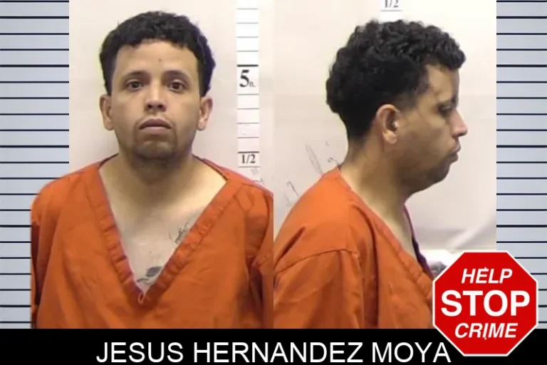 Jesus Hernandez Moya