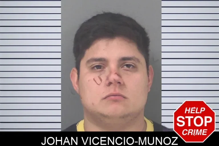Johan Vicencio-Munoz