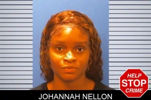 Johannah Nellon mugshot