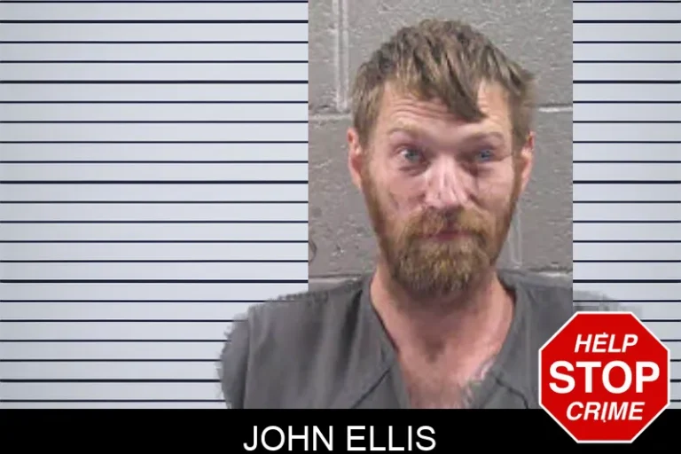 John Ellis