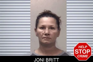 Joni Britt mugshot