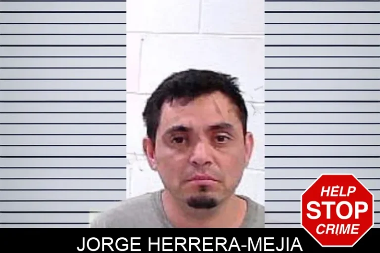 Jorge Herrera-Mejia