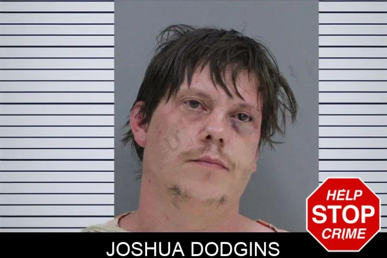 Joshua Dodgins