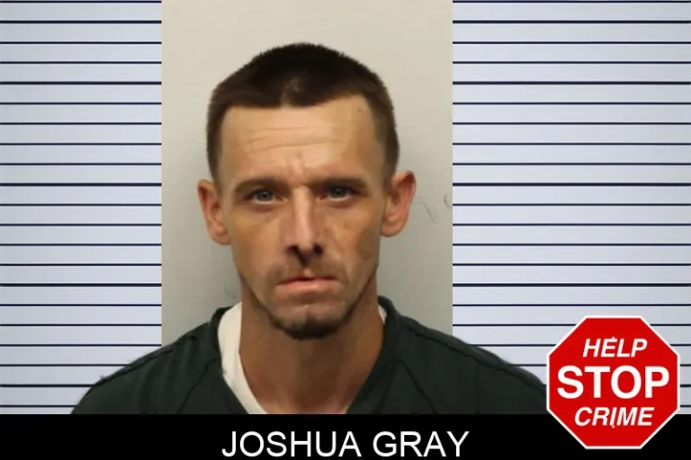 Joshua Gray mugshot – Chatham County , Georgia Joshua Gray