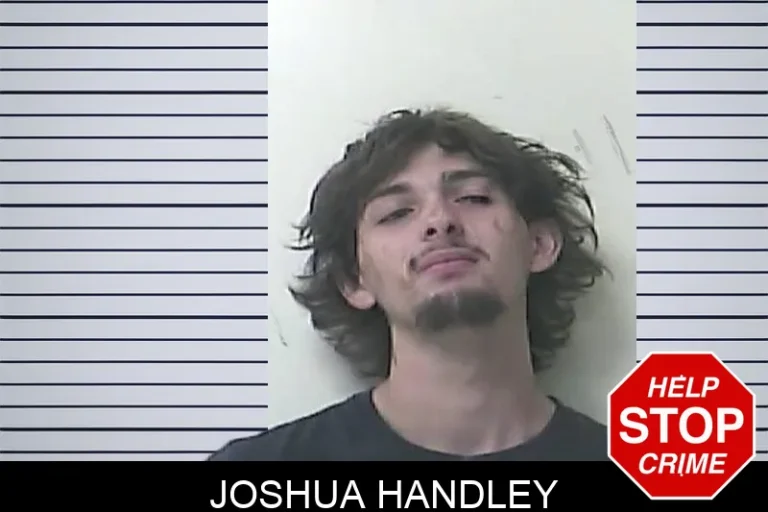 Joshua Handley