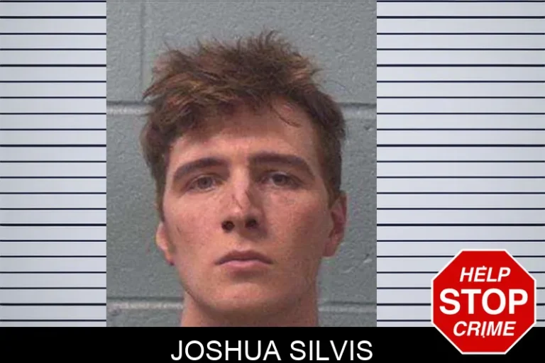 Joshua Silvis