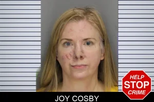 Joy Cosby mugshot